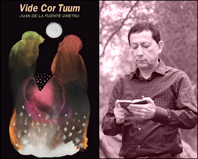 Vide Cor Tuum