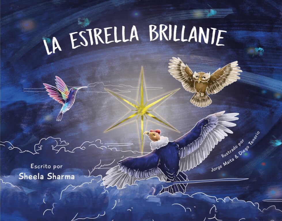 La estrella birllante portada